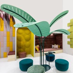 Oasis